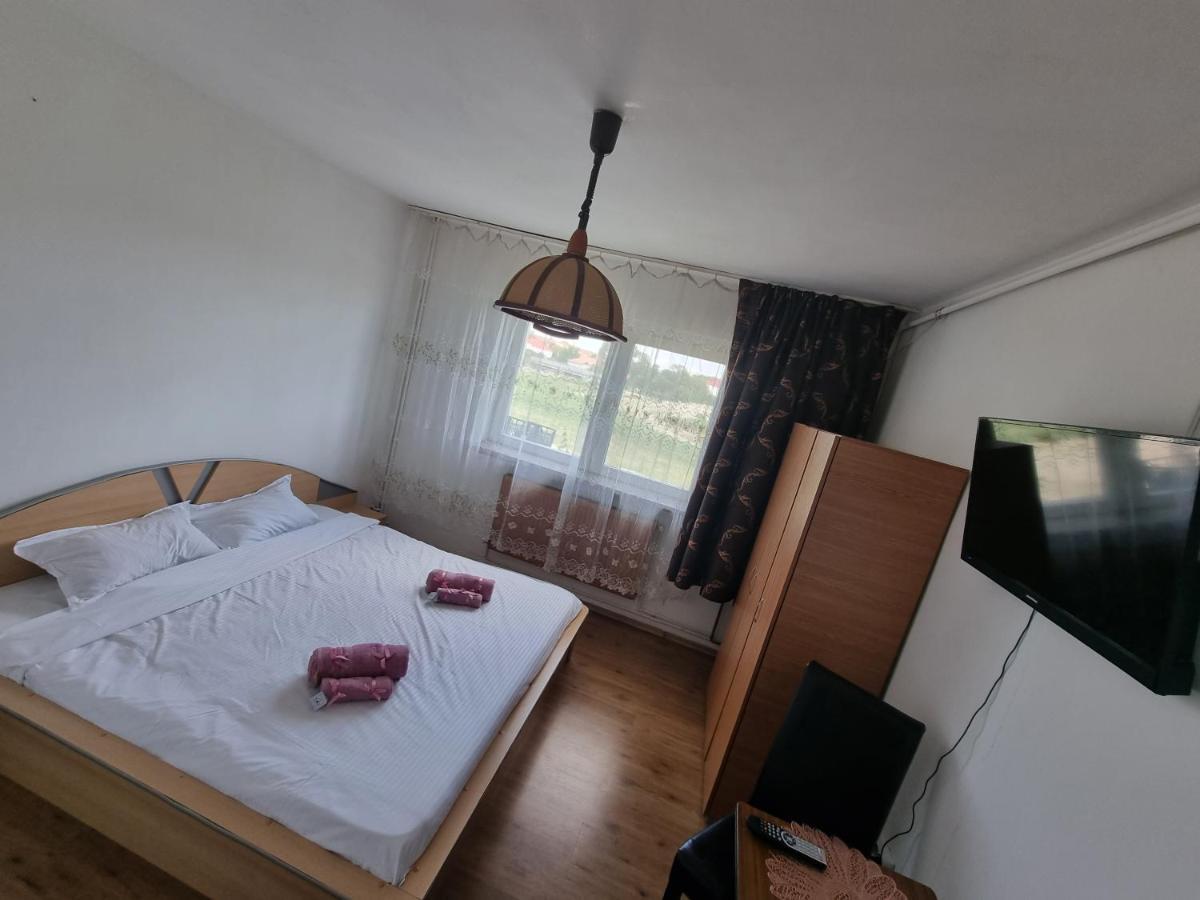 Golden Studio Apartment Sibiu Exterior photo